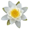 Эмодзи 009