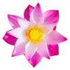 Эмодзи 010