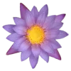 Эмодзи 011