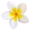 Emoji 012