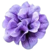 Emoji 017