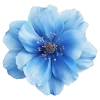 Emoji 018