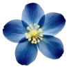 Эмодзи 019