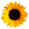 Emoji 020