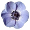 Emoji 023