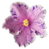Emoji 024