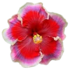 Emoji 025