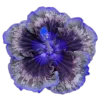 Эмодзи 030