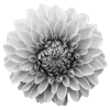 Эмодзи 035