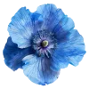Эмодзи 036