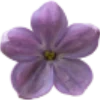 Emoji 002