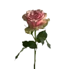 Emoji 011