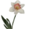 Emoji 020