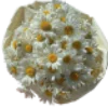 Emoji 023