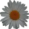 Emoji 024