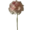 Emoji 027