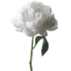 Emoji 028