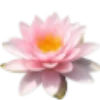 Emoji 029