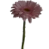 Emoji 030