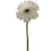 Emoji 031