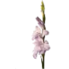 Emoji 032