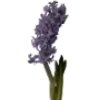 Emoji 033