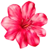 Emoji 001