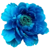 Emoji 004