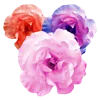Emoji 006