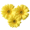 Emoji 008