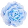 Emoji 009
