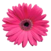 Emoji 010