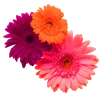 Emoji 011
