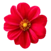 Emoji 012