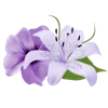 Emoji 013
