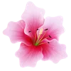 Emoji 014