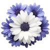 Emoji 016