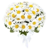 Emoji 017