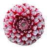 Emoji 022