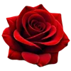 Emoji 023