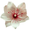 Emoji 024