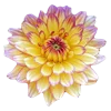 Emoji 027