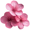 Emoji 028