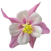 Emoji 029