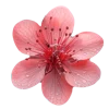 Emoji 030