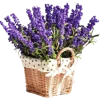 Emoji 037