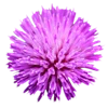 Emoji 040