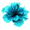 Emoji 041