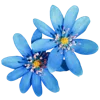 Emoji 042