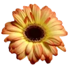 Emoji 045